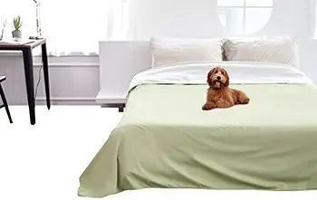 Cobertor para Cães, Gatos e Pessoas | Cama, Sofá e Sofá Protetor | Rei e Rainha 95 polegadas x 90 cm (Verde, Bege) | Reve